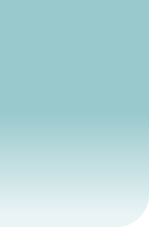 wp19937fdd.png