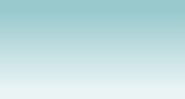 wp1c50d457.png